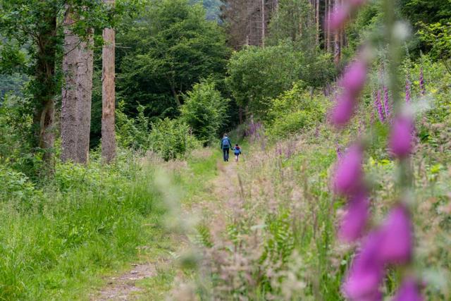 9 destinations in the Westerwald for families that you should know