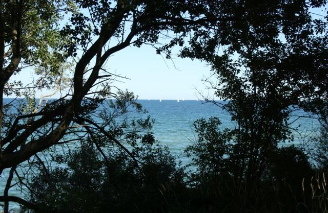 Baltic Sea: Our excursion tips between Kühlungsborn and Warnemünde