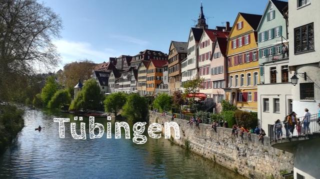 Tübingen with children: Excursion between half-timbered houses and the Stone Age