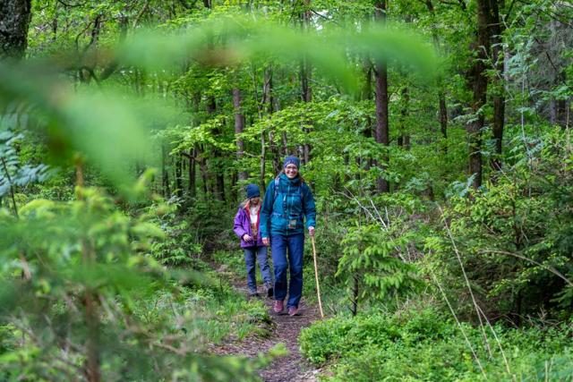 Famenne-Ardenne with children: family holidays in Belgium
