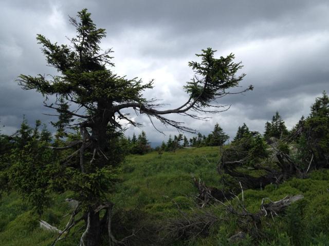 Troll song at the Teufelskanzel - Harz with a toddler