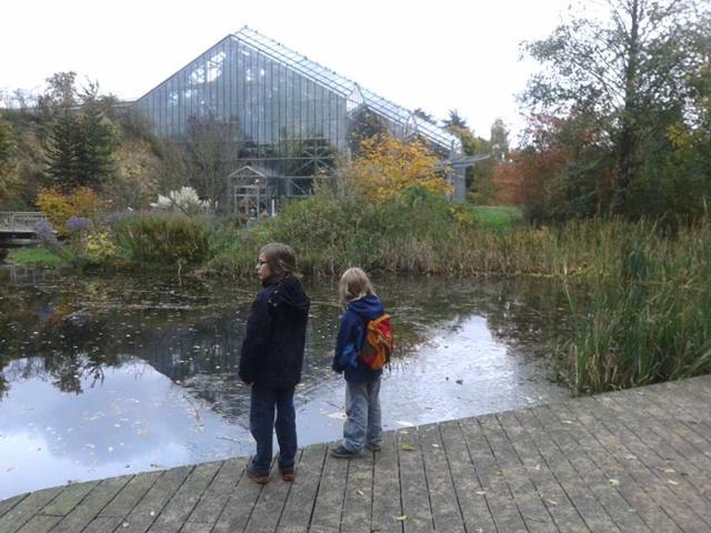 Osnabrück Botanical Garden: Where Japan lies just beyond the North American prairie