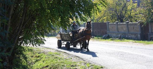 Transylvania: The more exotic destination for family holidays
