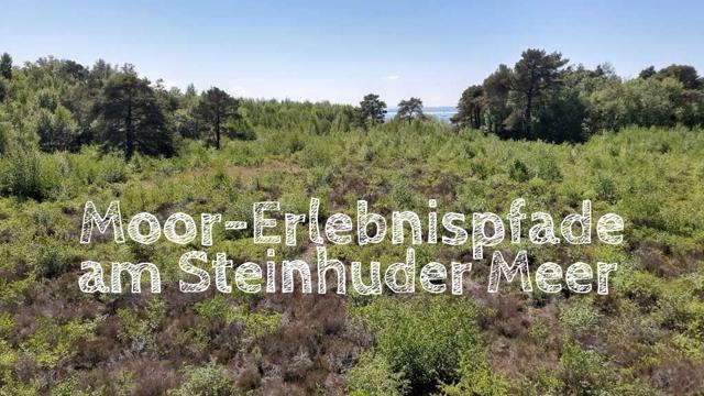 Steinhuder Meer: Excursion destination moor in Mardorf and Winzlar