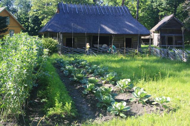 Tallinn Open-Air Museum: Oven without chimney, but no food without meat