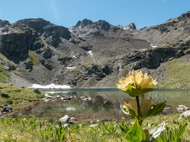 Engadin with children: Highlights and top tours around Pontresina