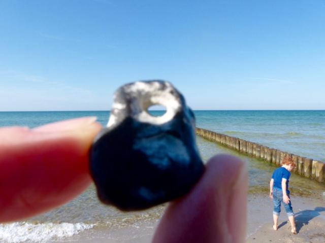 Baltic Sea with children: The Darss ABC