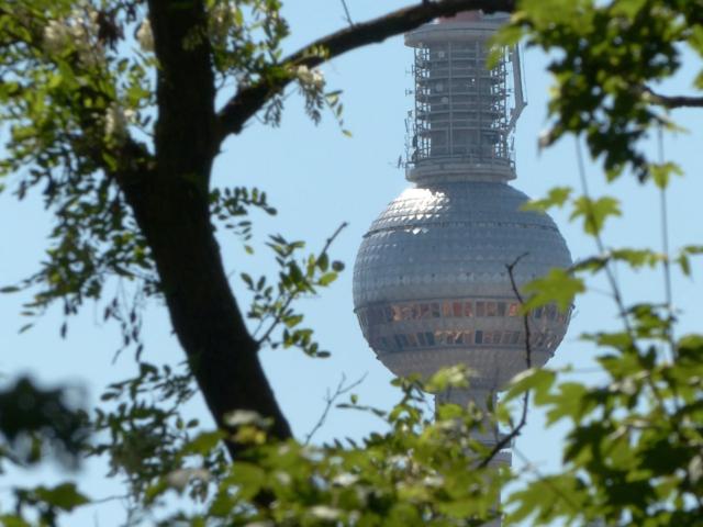 Berlin outdoor activities: more than 50 cool tips