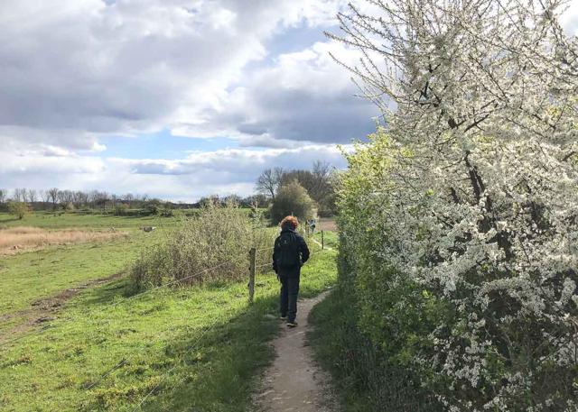 Hiking in Berlin: 13 cool tours through nature in the city