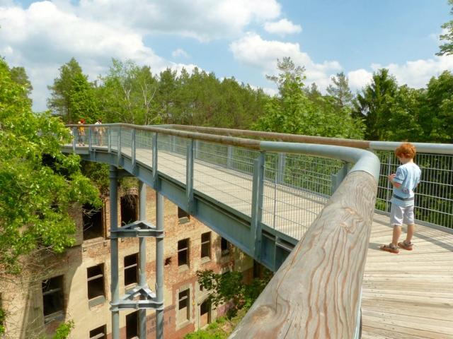 With children on the treetop walk Beelitz-Heilstätten