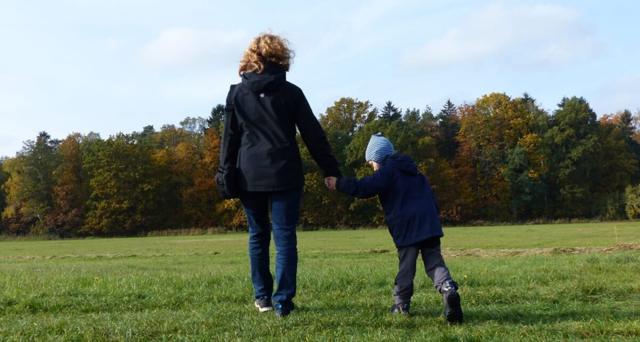 Bird safari and jungle trail Grumsin in the Schorfheide with children