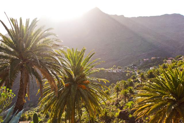 7 Tenerife Highlights & Insider Tips: Travel to Tenerife individually
