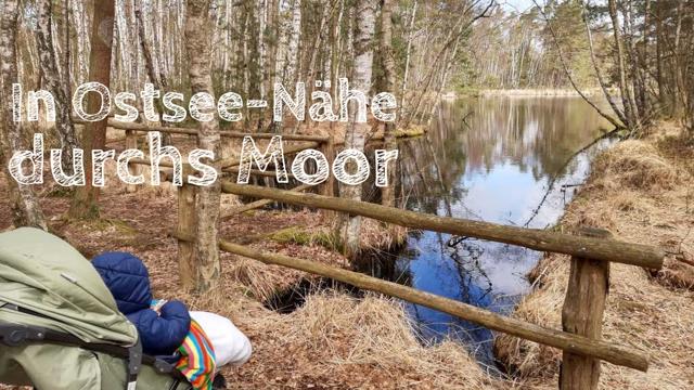 Moor on the Baltic Sea: Insider tips from Bad Doberan via Rügen to Usedom