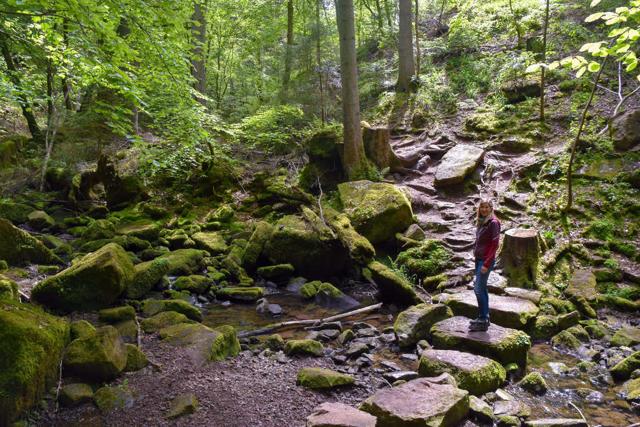 Northern Black Forest Hiking with Children: 4 Tours