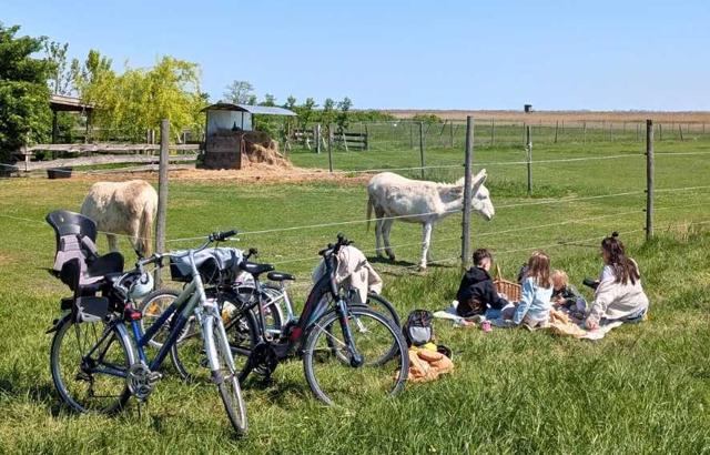 Lake Neusiedl with children: 9 exciting excursions & tips near Rust