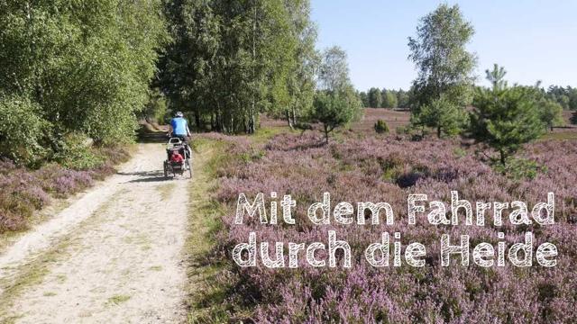 Lüneburg Heath: Bike tour to Wilseder Berg