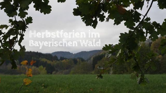 Bavarian Forest: 6 small family adventures