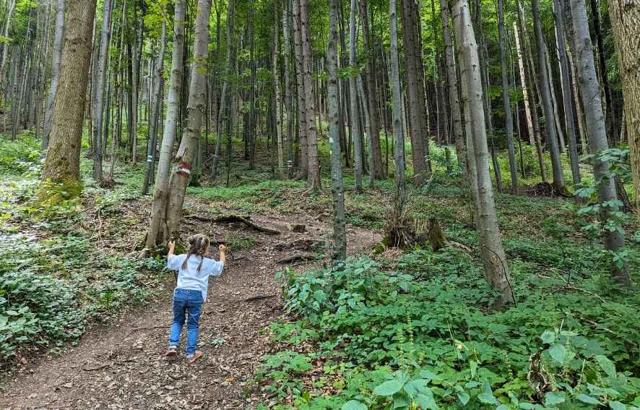 Hiking with children around Vienna: The top 10 hiking trails