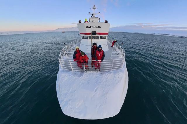 Up close with whales in Reykjavík: Our unforgettable Elding Whale Watching adventure