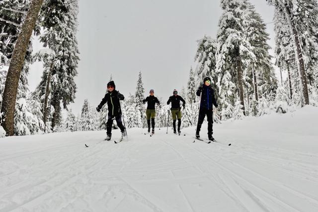 Winter in Oberwiesenthal and on the Fichtelberg - Alpine and cross-country skiing with the family