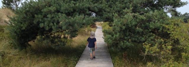 Fischland-Darß-Zingst: A peninsula full of adventure