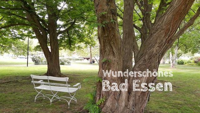 Bad Essen with children: dinosaurs, brine, half-timbered houses