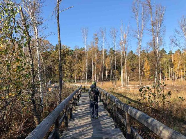 Hiking at Müggelsee in Berlin: Through the Teufelsseemoor to the Müggelberge