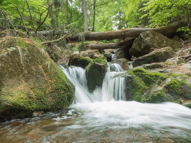 Hiking in the Harz Mountains – Our 7 most beautiful tours