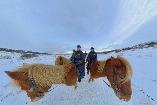 Why you should ride Icelandic horses in Iceland - Riding as a family in the gaits Tölt and Pass