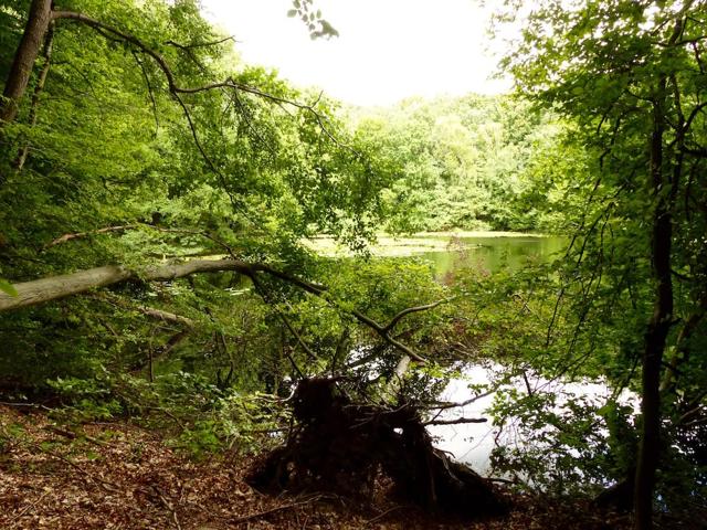 Ten tips for family holidays in the Uckermark