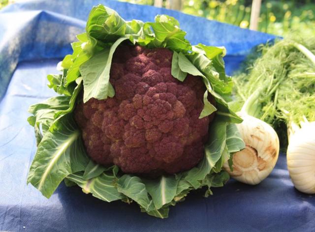 Sicily with children: Messina, Catania and Mount Etna