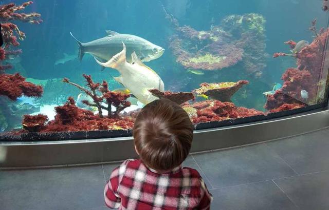 Animal excursions in Vienna with children: petting zoo & zoo