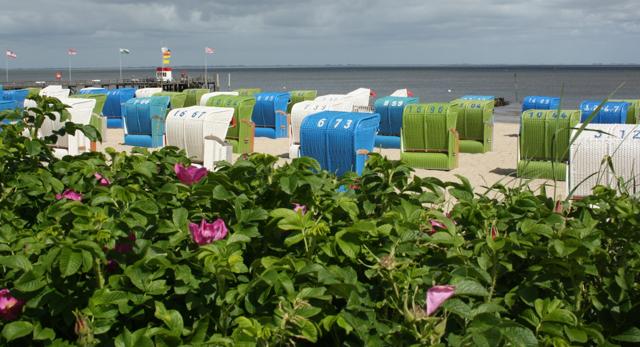 Föhr for families: When I fell in love with an island...
